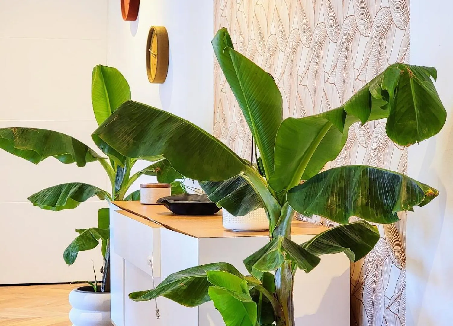Luxury Flat With Balcony Near Arc De Triomphe * Parijs